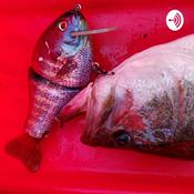 Podcast Big Bait Sagas - Big Bait Podcast