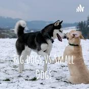 Podcast Big dogs vs Small Dogs