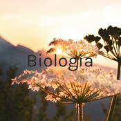 Podcast Biologia: Fungos