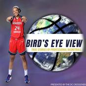 Podcast Bird's Eye View with Erica McCall: True Stories of Professional Basketball