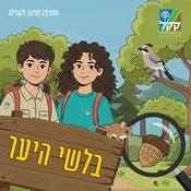 Podcast בלשי היער