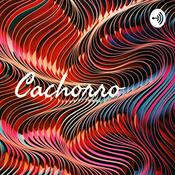 Podcast Cachorro