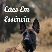 Podcast Cães Em Essência