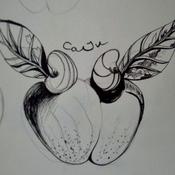 Podcast CAJU professional