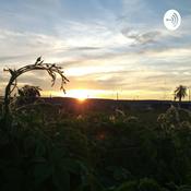 Podcast Cerejeira