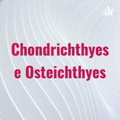 Podcast Chondrichthyes e Osteichthyes