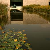 Podcast Conexión Ambiental🌀