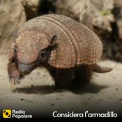 Podcast Considera l’armadillo