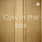 Podcast Cow in the box