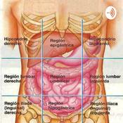 Podcast Cuadrantes abdominales