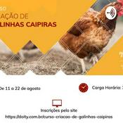 Podcast Curso Criação de Galinhas Caipiras