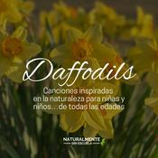Podcast Daffodils