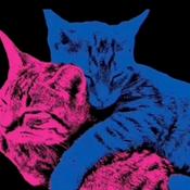 Podcast Dangerously yours x TV girl