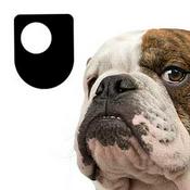 Podcast Darwin and Evolution - for iPod/iPhone