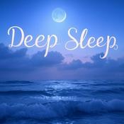 Podcast Sleep Reset
