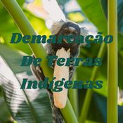 Podcast Demarcação De Terras Indígenas