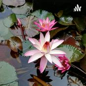 Podcast Derecho Civil último momento