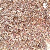 Podcast Diálogo Sertanejo