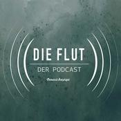 Podcast Die Flut - 100 Tage danach