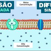 Podcast Difusão simples e facilitada