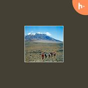 Podcast Eco-friendly Lodging: Sustainable Stays in East Africa’s Mountain Resorts