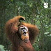 Podcast OTAN - One Take Annotation