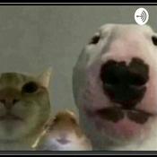 Podcast El Club De Los Lelos