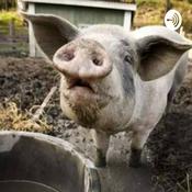 Podcast Enquanto há Brasil