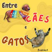 Podcast Entre cães e gatos