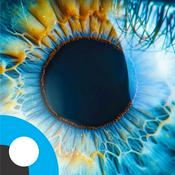 Podcast Entre Olhares