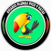 Podcast Entrevista a Edy Armario