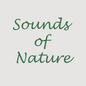 Podcast Environmental Sounds