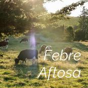 Podcast Febre Aftosa