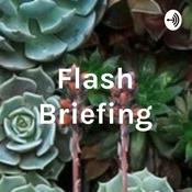 Podcast Flash Briefing