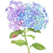 Podcast Full Bloom Treasures