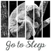 Podcast Go to Sleep