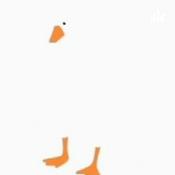 Podcast Implied goose