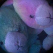 Podcast Grey Complains About Most Things