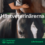 Podcast Hästveterinärerna