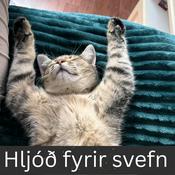 Podcast Hljóð fyrir svefn