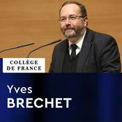 Podcast Innovation technologique Liliane Bettencourt (2012-2013) - Yves Brechet