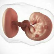 Podcast Intervalo de ouro -os 1000 primeiros dias