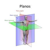 Podcast Introdução À Anatomia