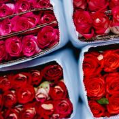 Podcast Introdução ao Romantismo