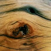 Podcast Is it that bad podcast?