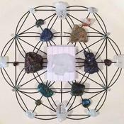 Podcast Jade Celi Podcast