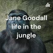 Podcast Jane Goodall life in the jungle