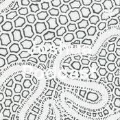 Podcast Joshua Podcast