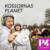 Podcast Kossornas planet