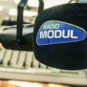 Podcast La minute de Singledalt